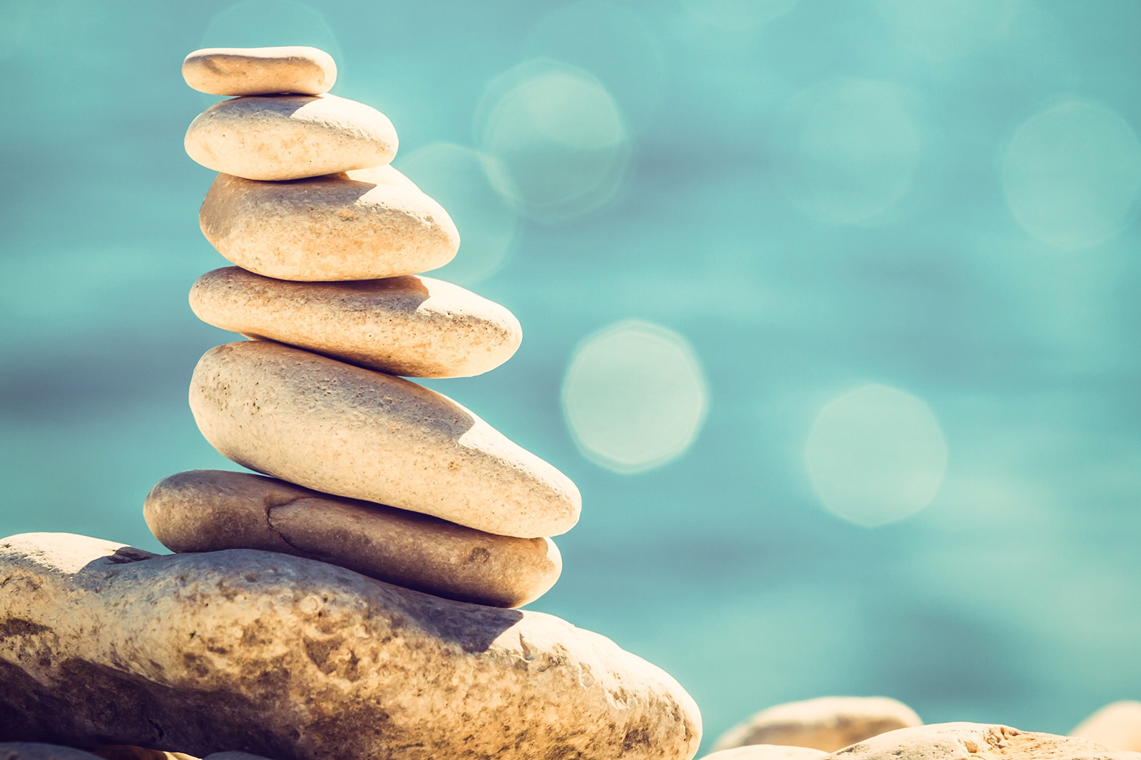 facteurs d'acidification