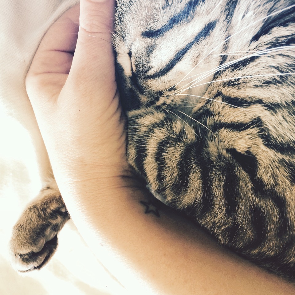 Lutter contre l'anxiété